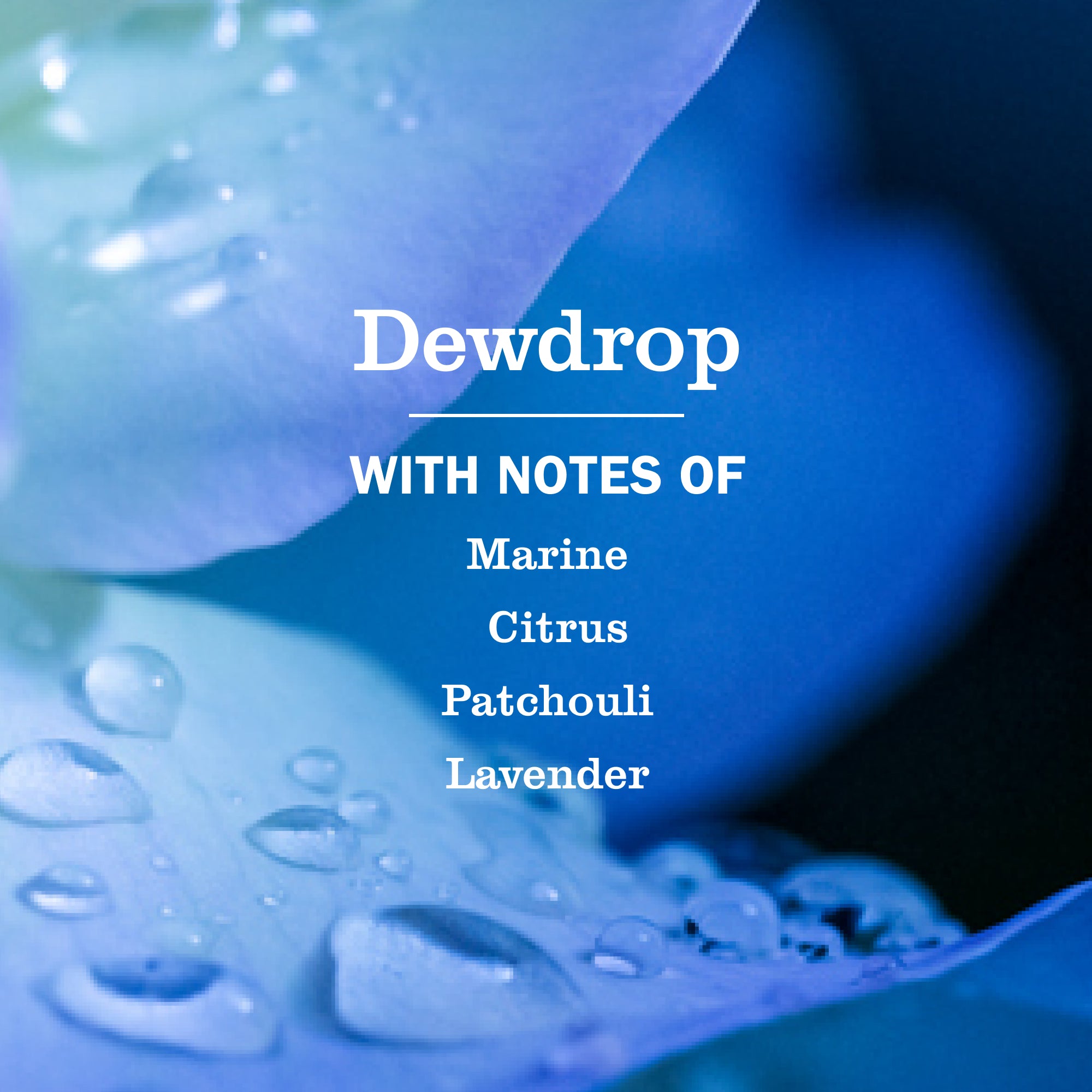 Dewdrop Collection - Image 2
