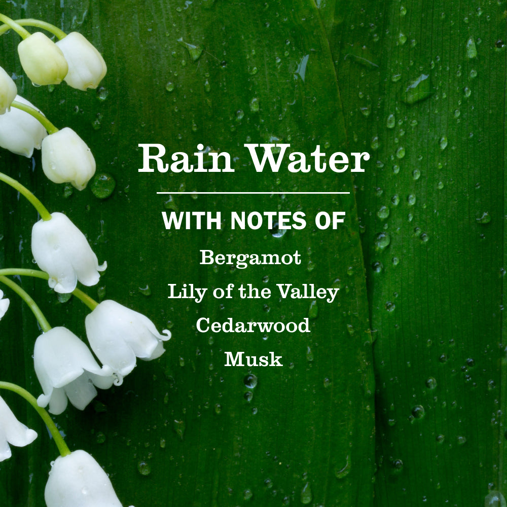 Rain Water Dish Soap Refill - Image 3