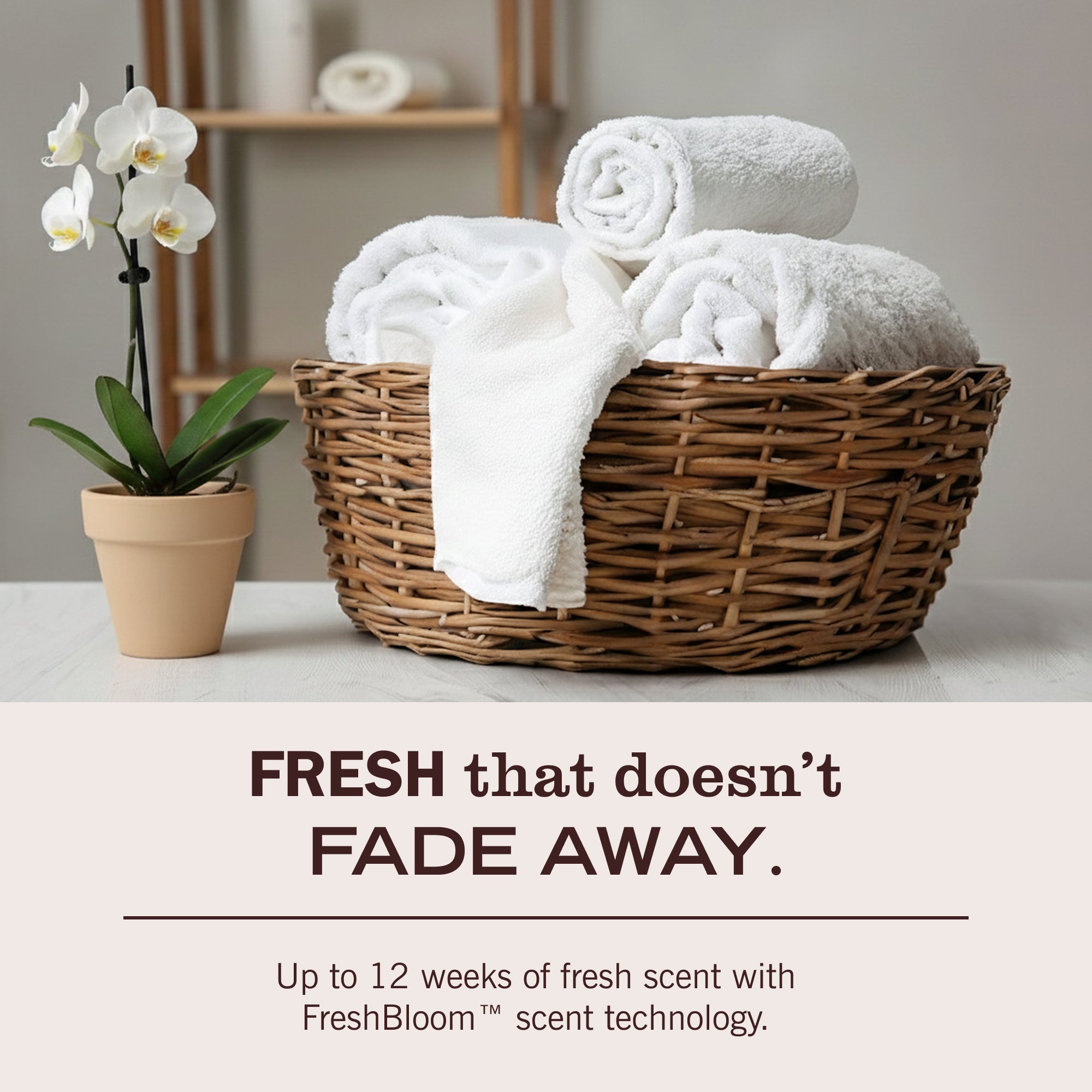 Honeysuckle Scent Booster - Image 6