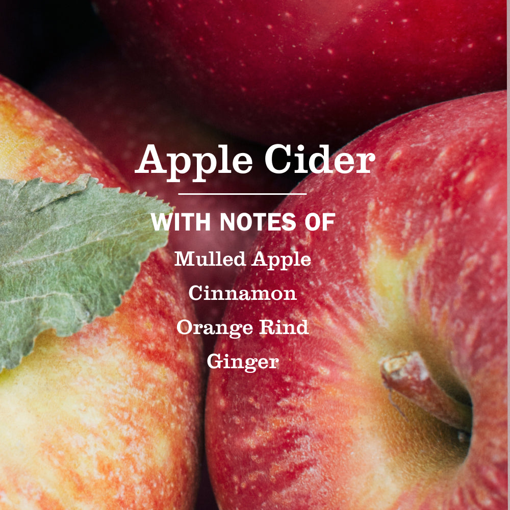 Apple Cider Room Freshener - Image 4