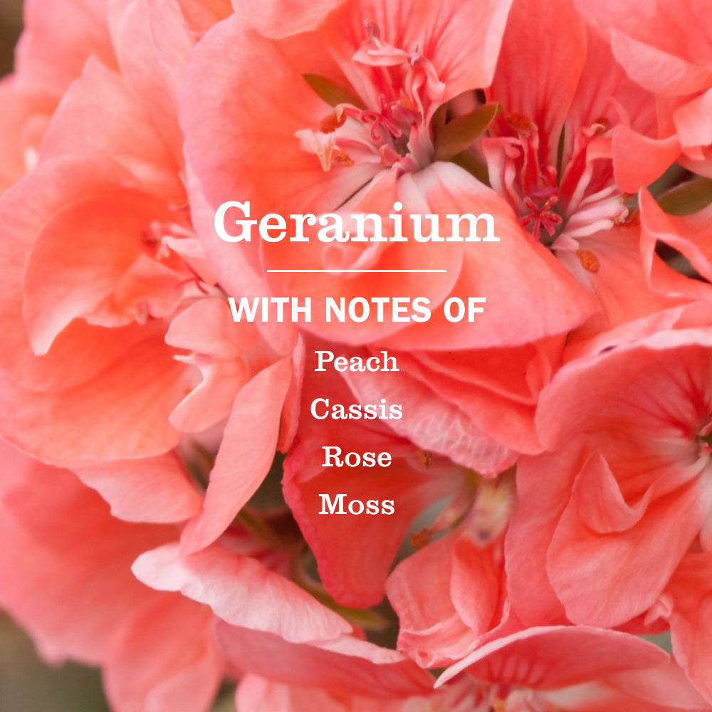 Geranium Dish Soap - Image 4