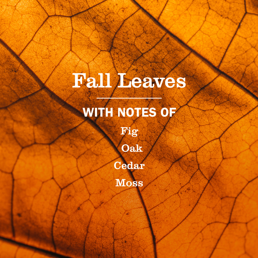 Fall Leaves Liquid Hand Soap 3-count Bundle - Image 4