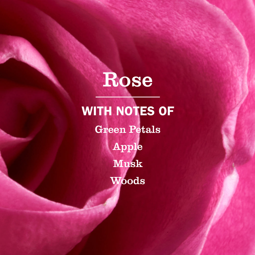 Rose Multi-Surface Everyday Cleaner 3-count Bundle - Image 4