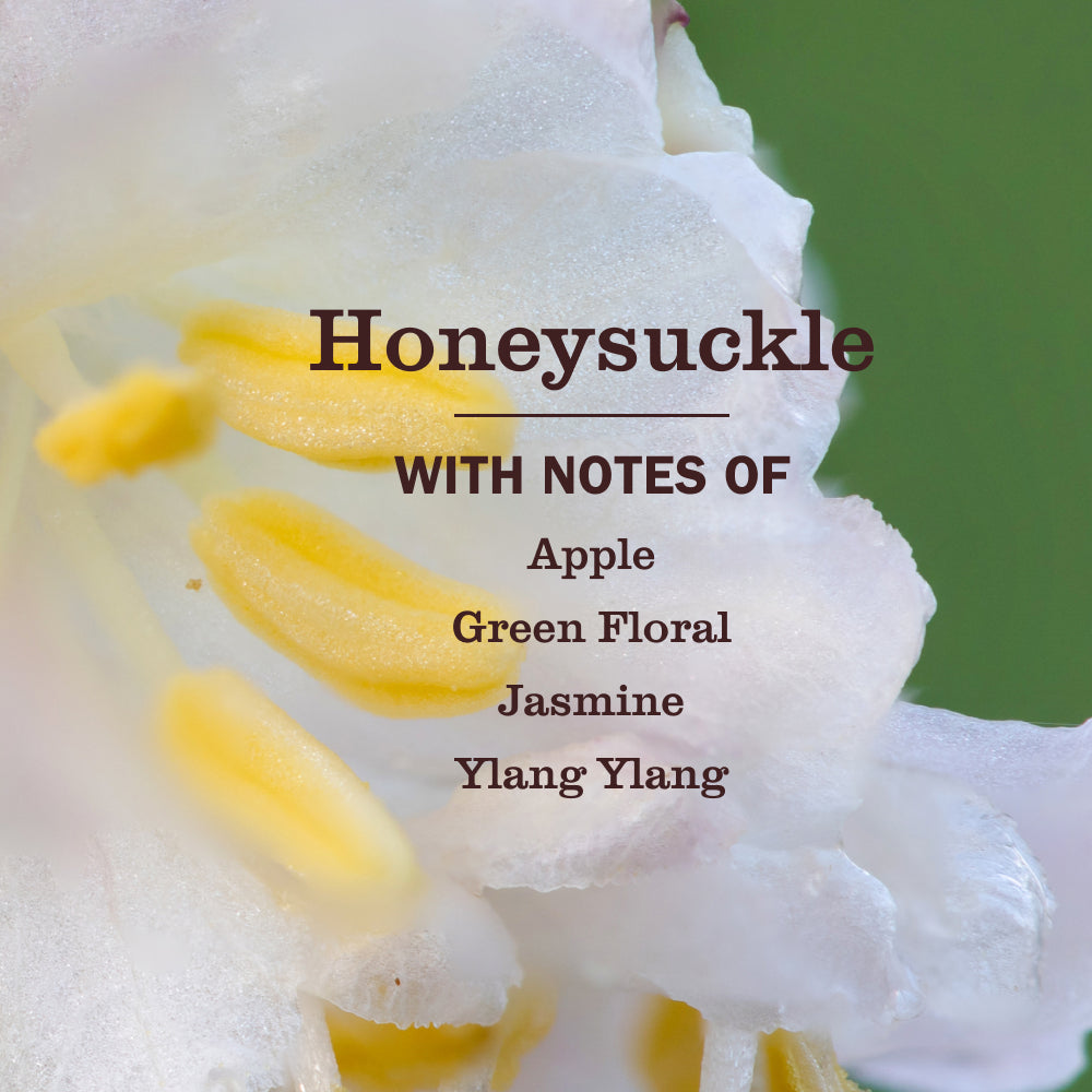 Honeysuckle Fabric Softener - Image 3