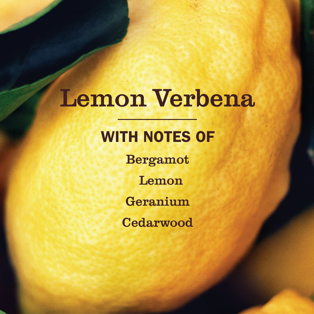 Lemon Verbena Multi-Surface Concentrate - Image 4