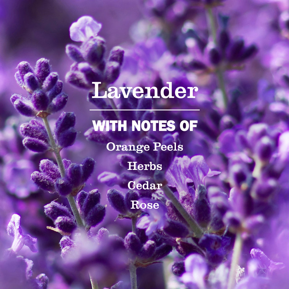 Lavender Probiotic Daily Shower Spray - Image 3