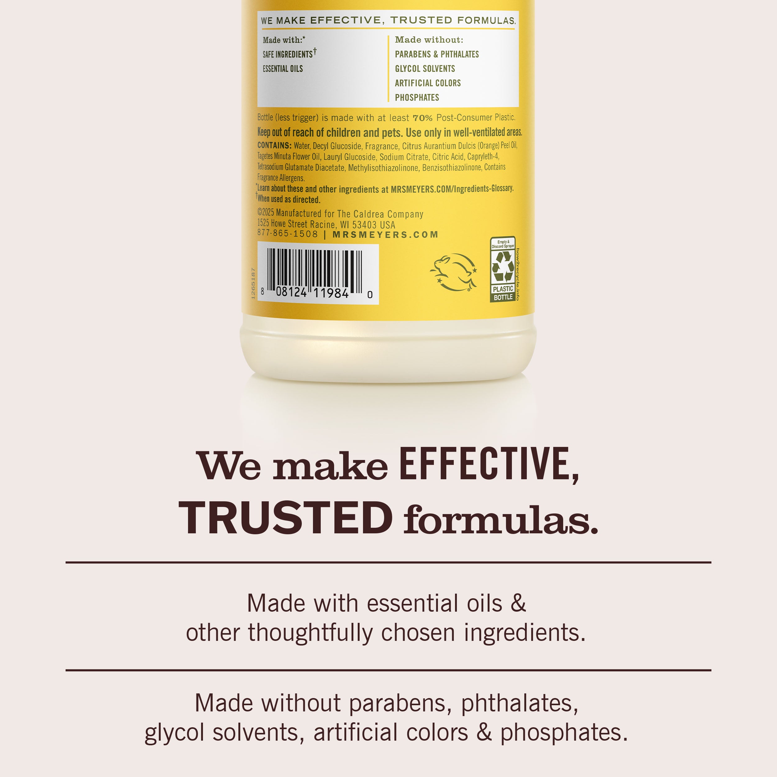 Dandelion Multi-Surface Everyday Cleaner 3-count Bundle - Image 6