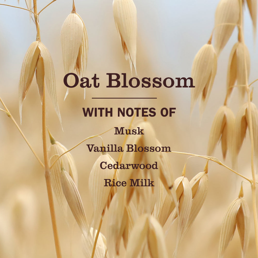 Oat Blossom Liquid Hand Soap - Image 4