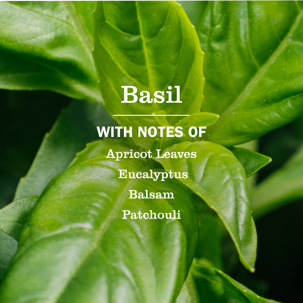 Basil Dryer Sheets - Image 3
