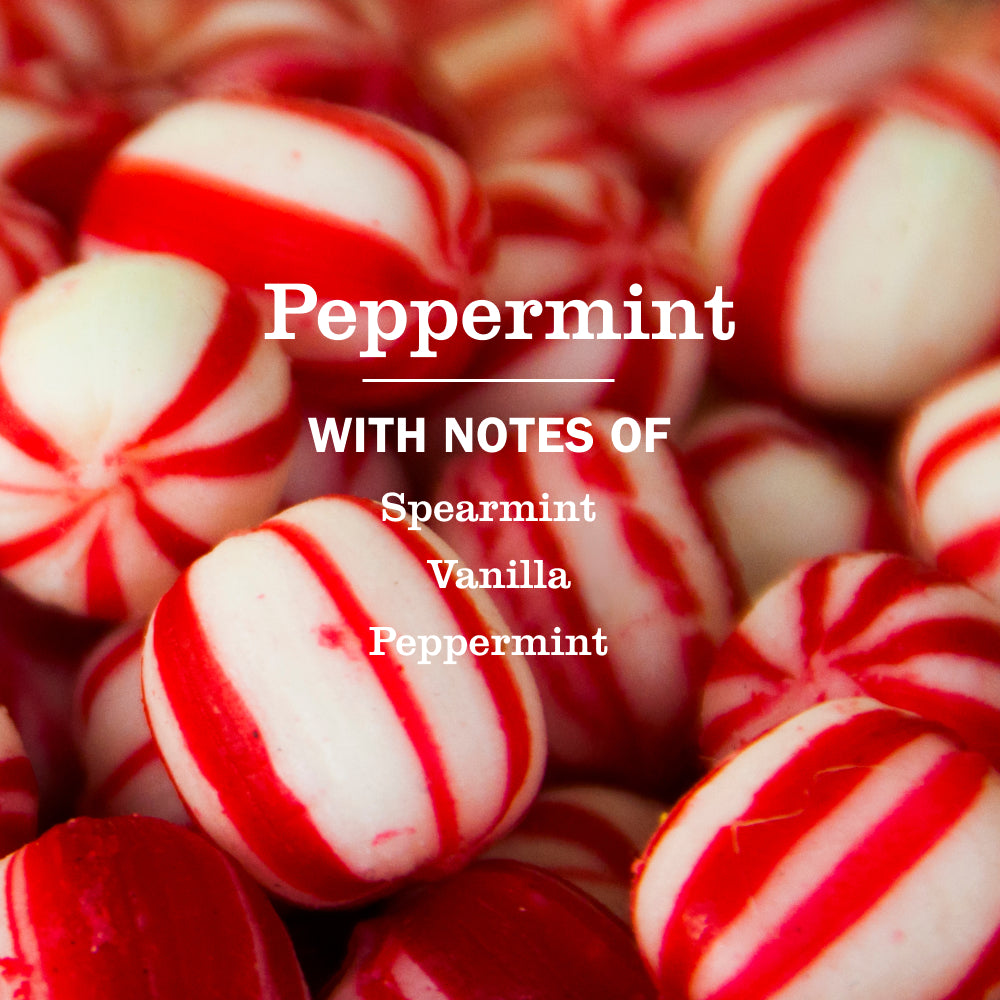 Peppermint Liquid Hand Soap - Image 4