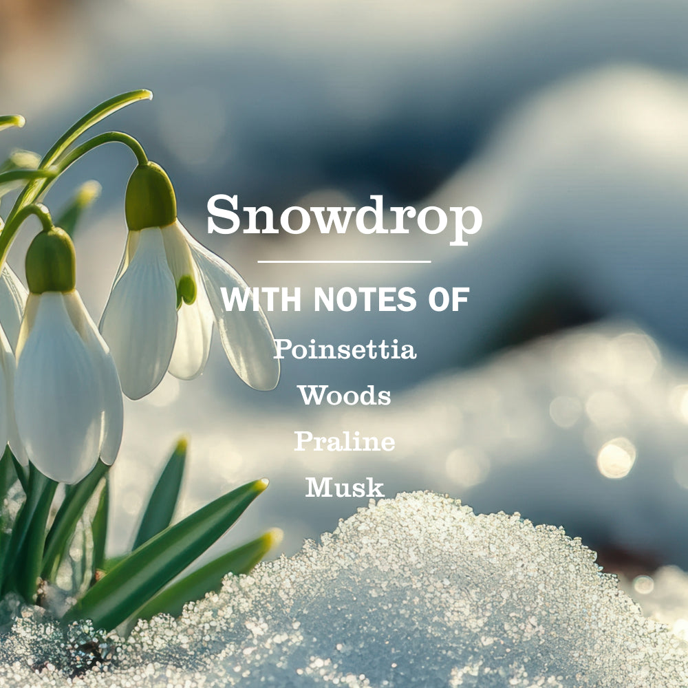 Snowdrop Liquid Hand Soap 3-count Bundle - Image 4