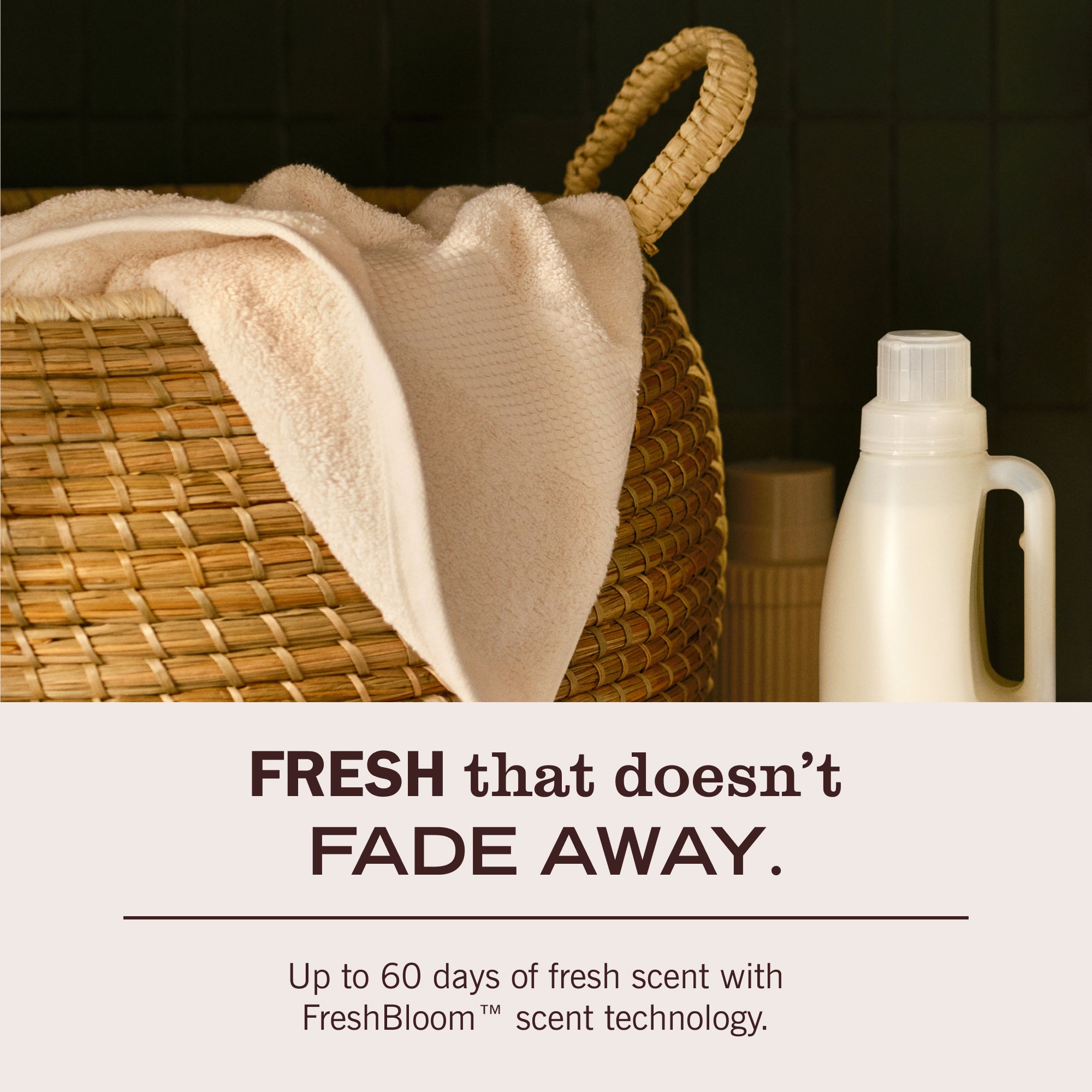 Honeysuckle Fabric Softener - Image 7
