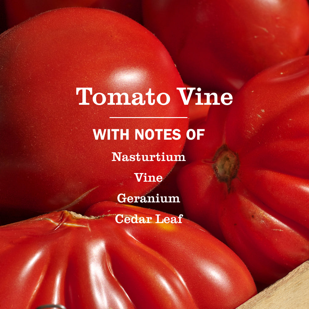 Tomato Vine Kitchen Basics Set - Image 4